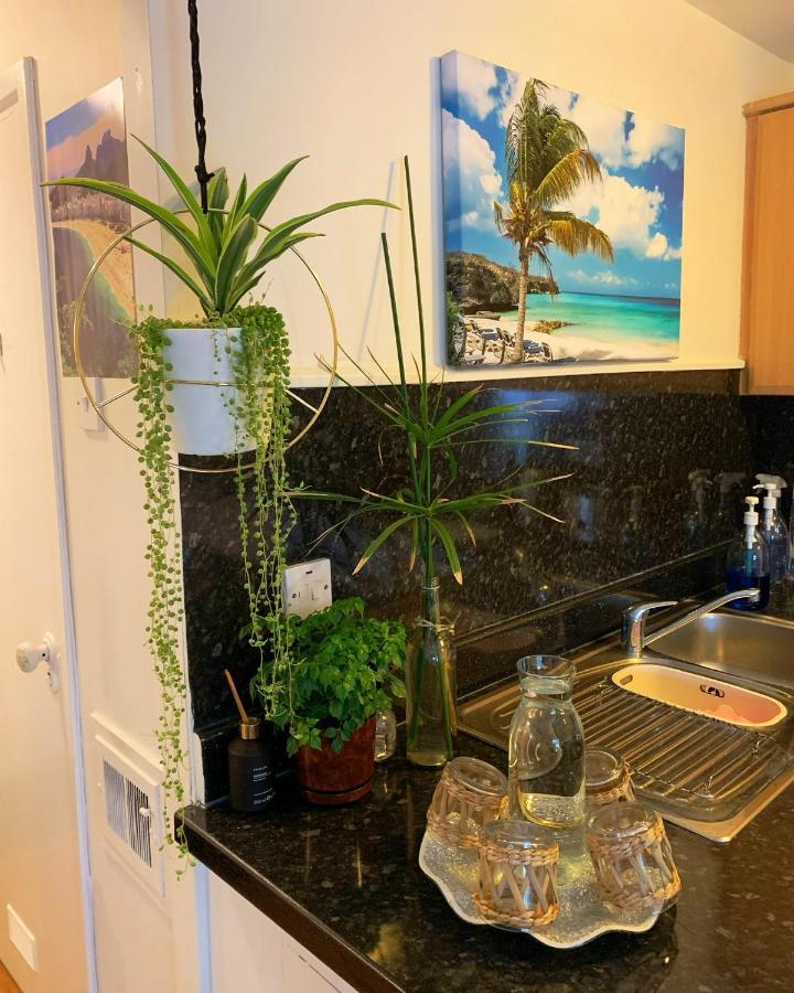 Appartement Garden Beautiful Cozy Flat , Recent Decorated. à Londres Extérieur photo